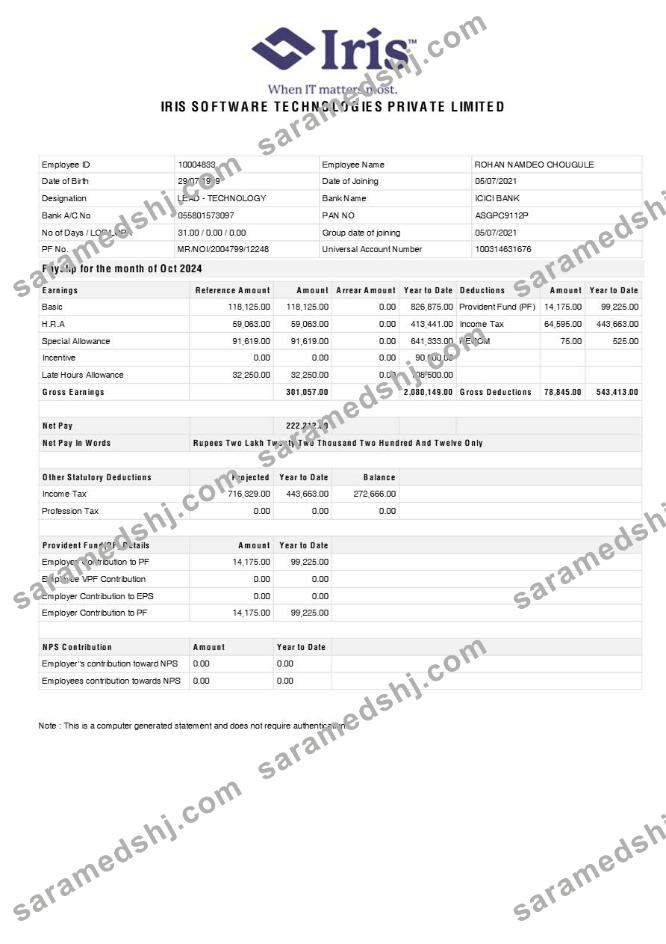 Iris Software Technologies payslip template in Word and PDF formats.pdf, 1